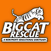 Big Cat Rescue